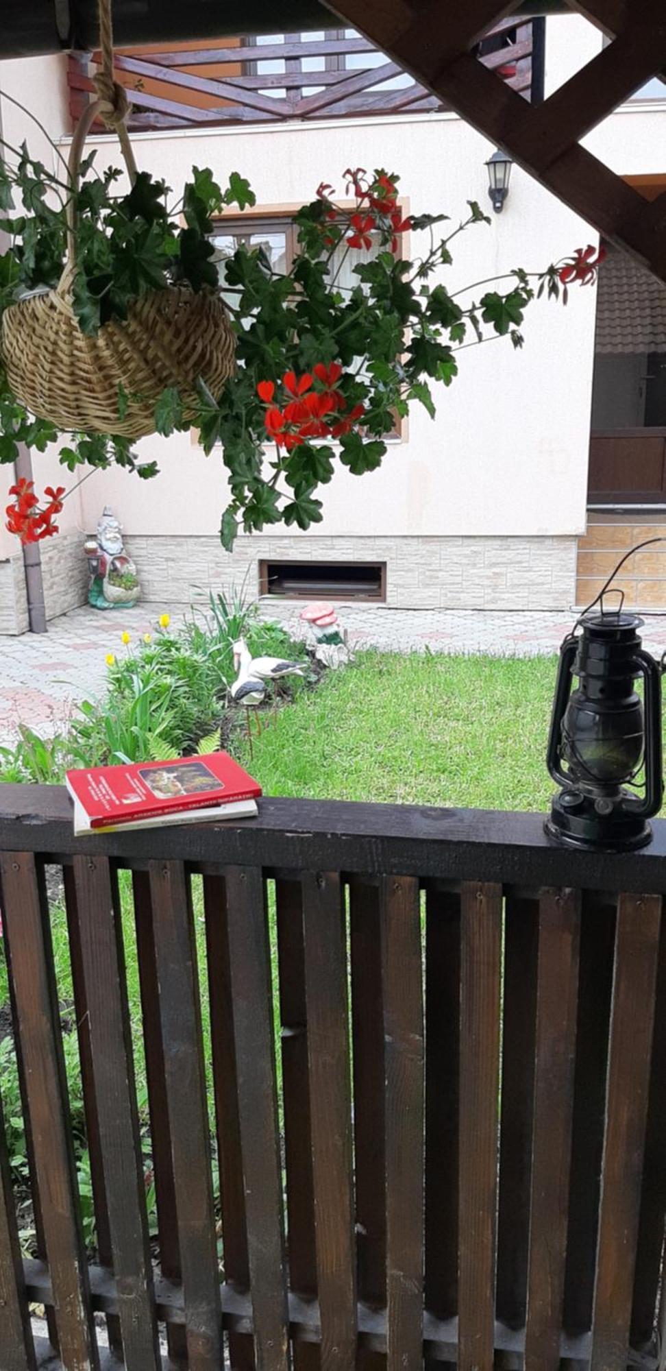 Casa Nicoladis Apartment Zarnesti Phòng bức ảnh
